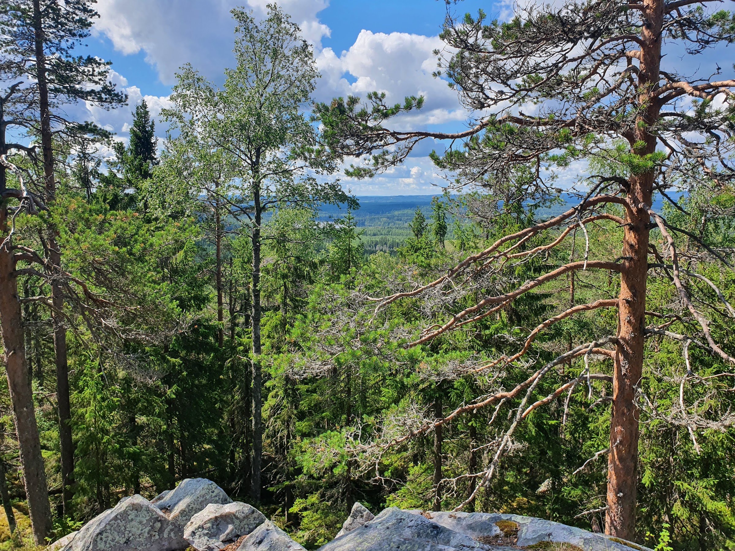 Pisa Nature Preserve (Pisan luonnonsuojelualue)